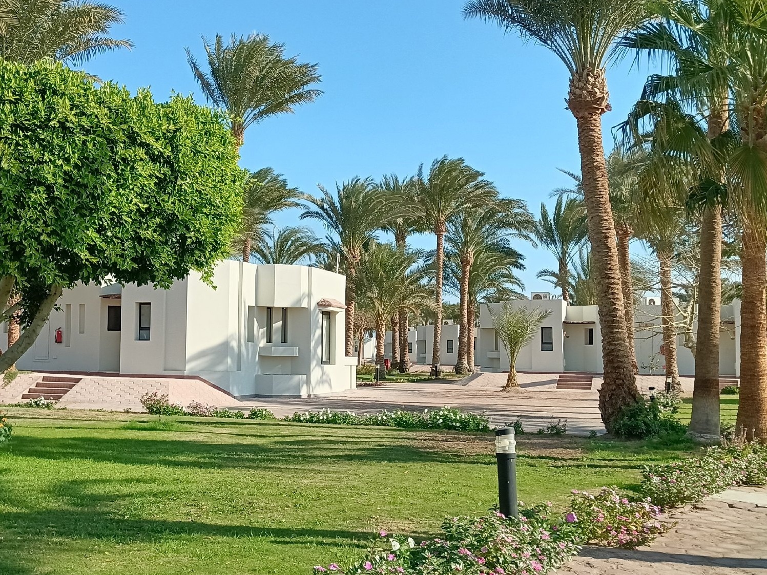 Земля Фараонов: экскурсионный тур в Египет с круизом по Нилу (9/9)