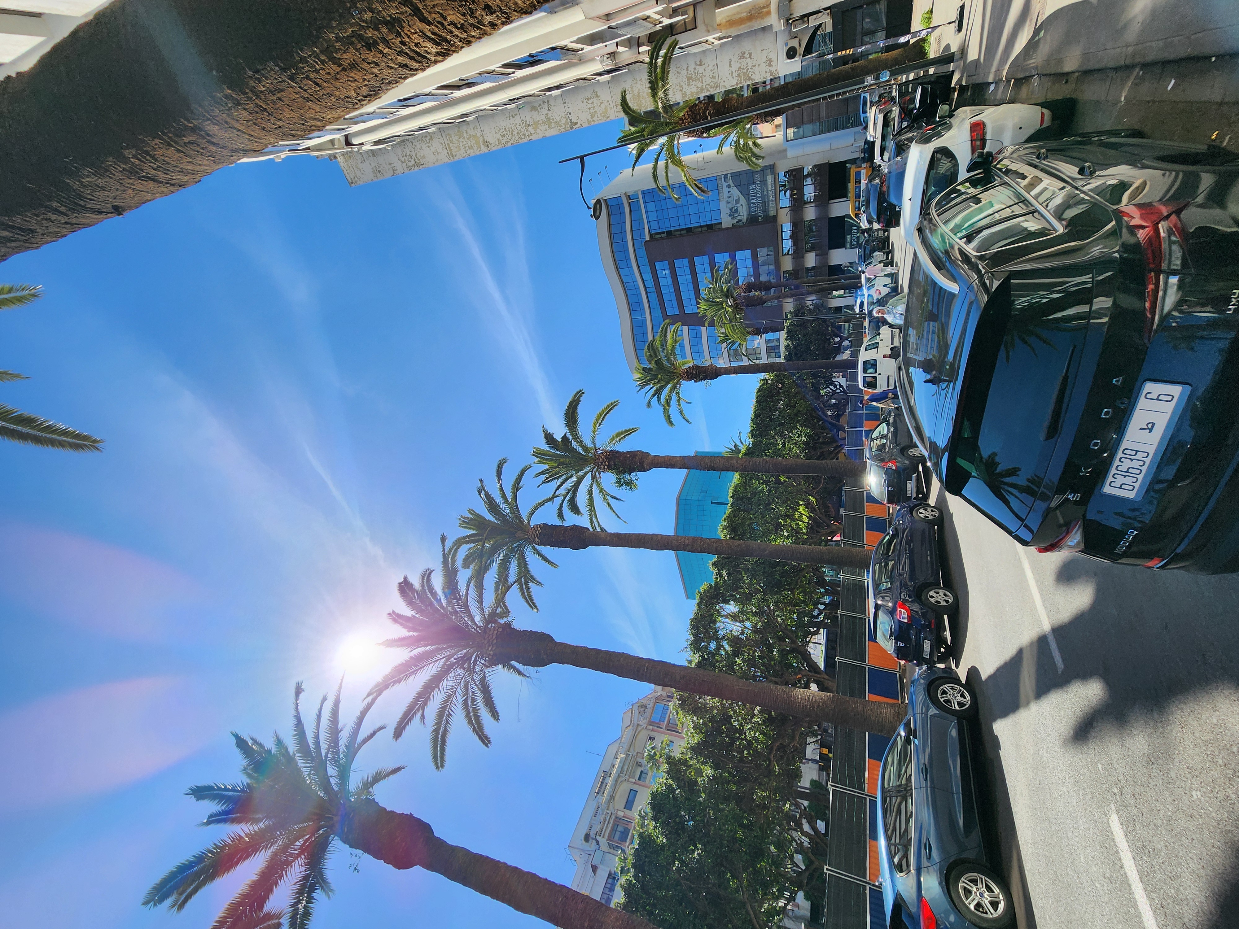 Выходные в Марокко 3 дня. (Касабланка, Танжер, Марракеш) (8/124)