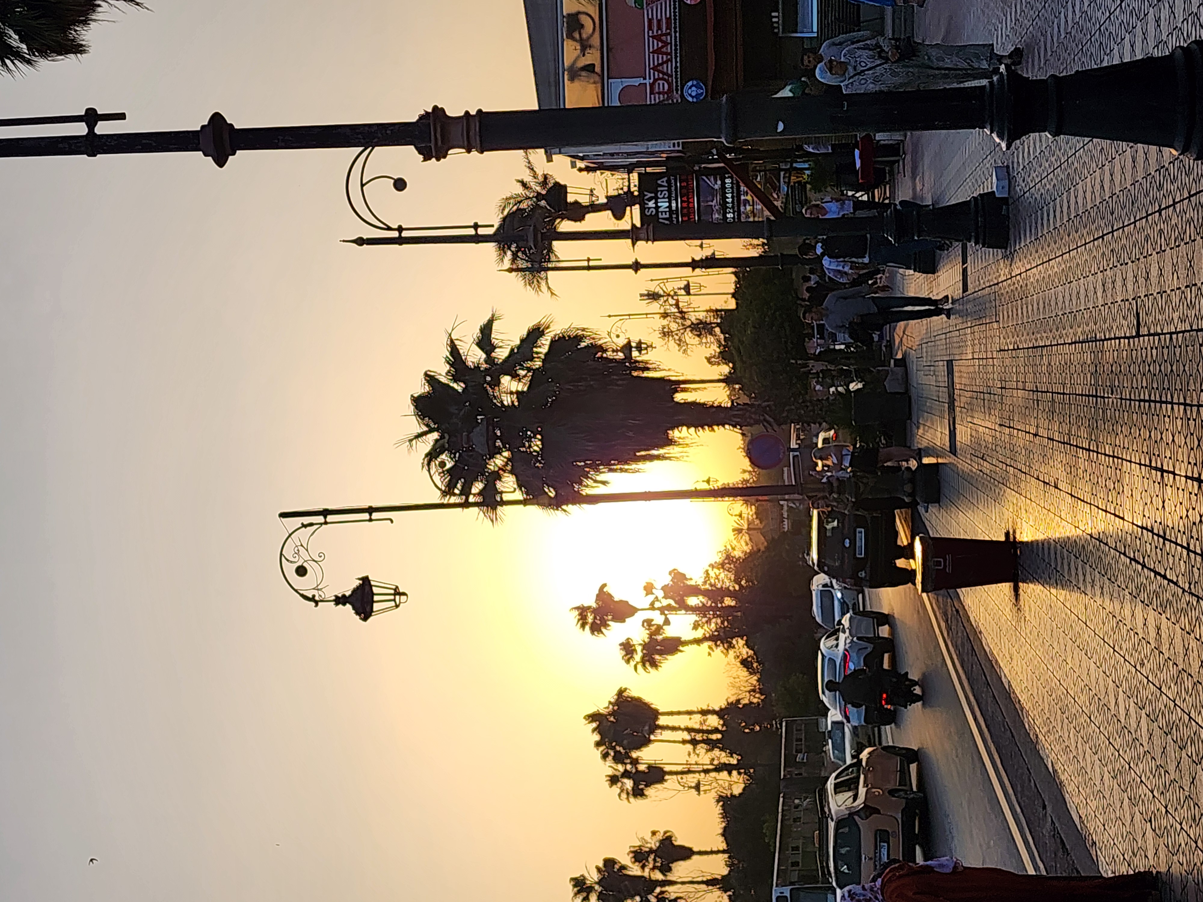 Выходные в Марокко 3 дня. (Касабланка, Танжер, Марракеш) (34/124)