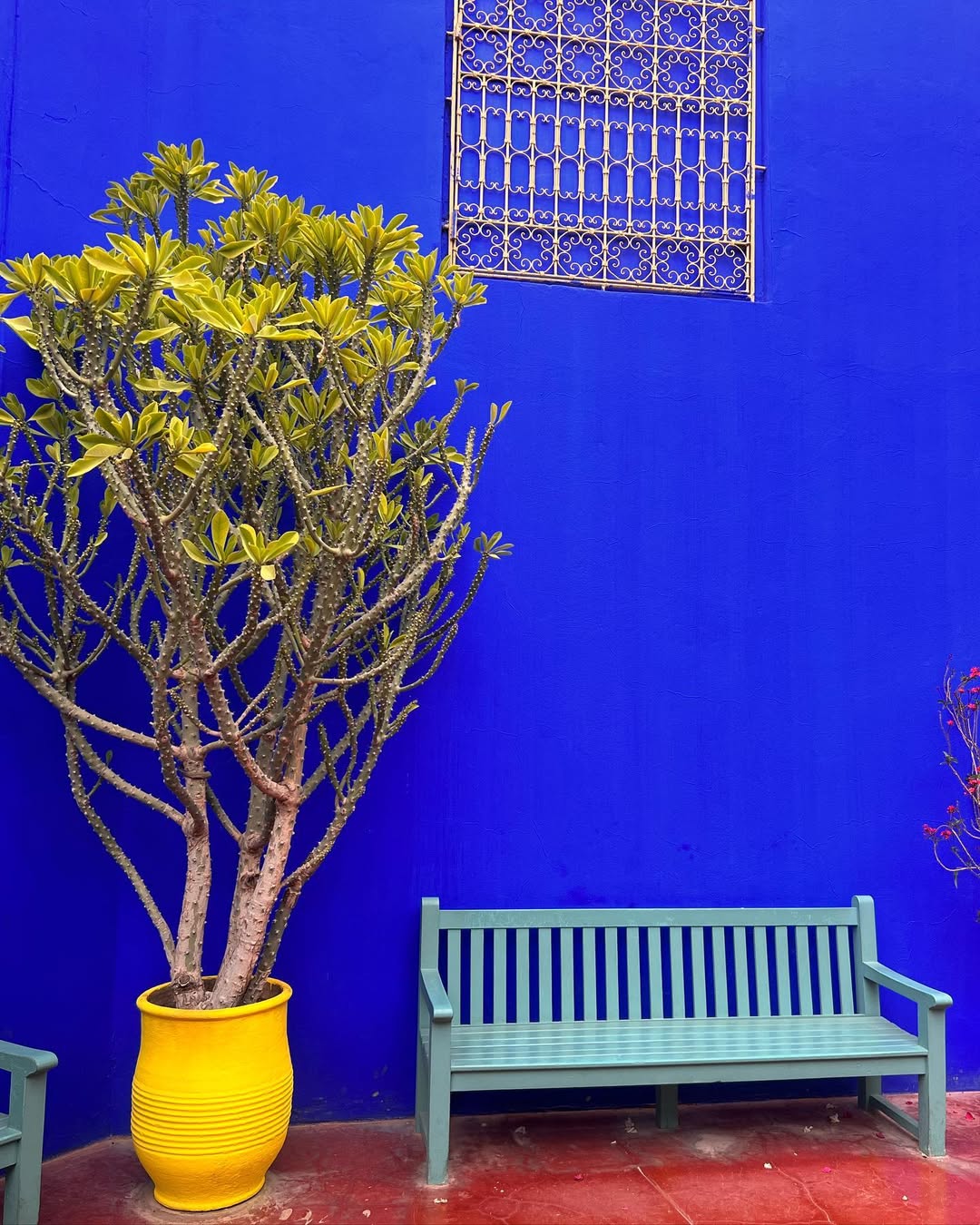 Выходные в Марокко 3 дня. (Касабланка, Танжер, Марракеш) (70/124)