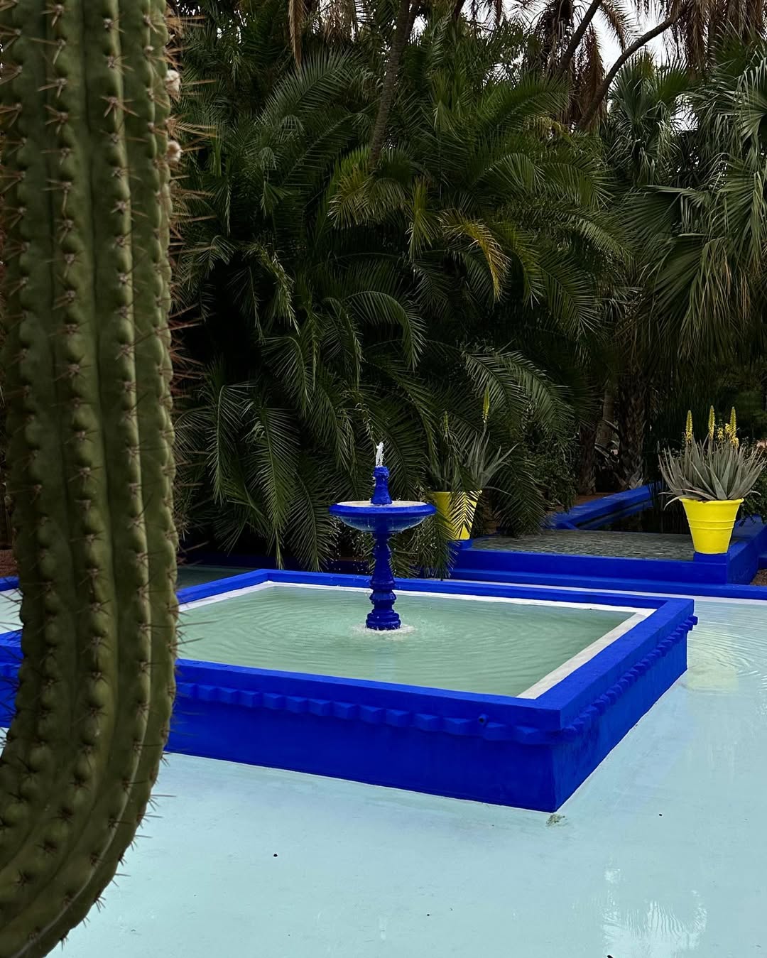 Выходные в Марокко 3 дня. (Касабланка, Танжер, Марракеш) (73/124)