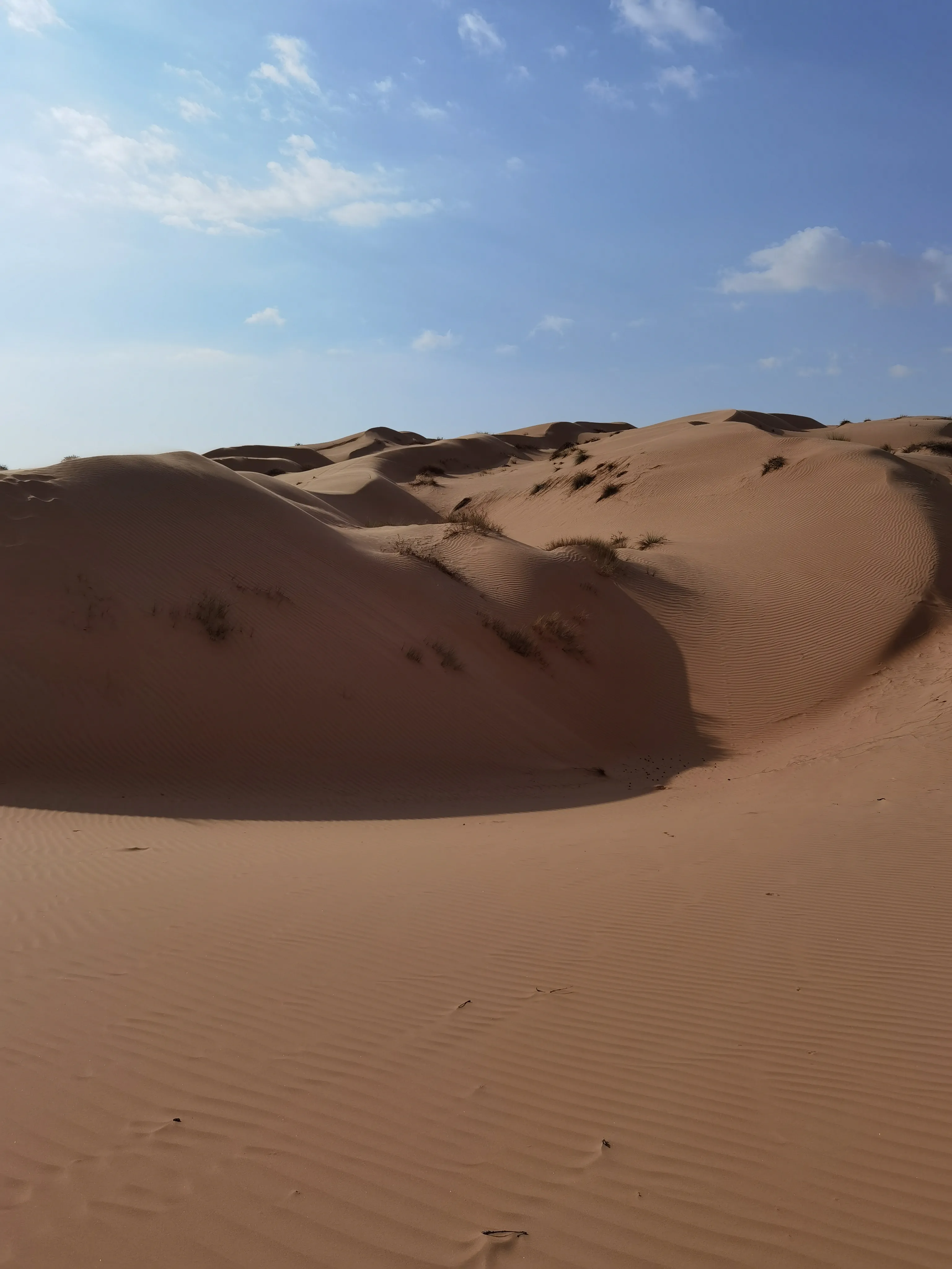 Жемчужина Аравии. Тур в Оман (23/51)