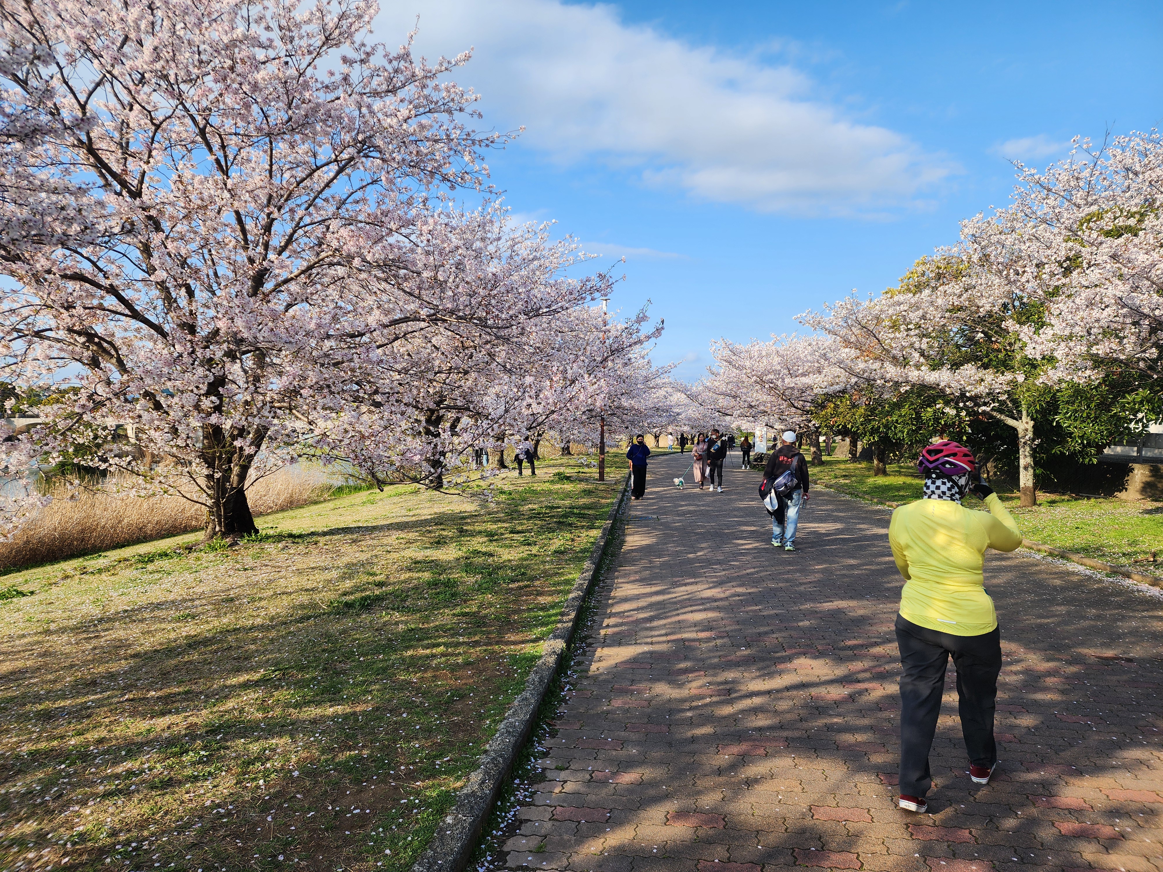 Велосипедная Япония (14/36)