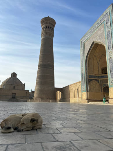 Узбекистан с душой: Ташкент,Самарканд и Бухара (17/41)