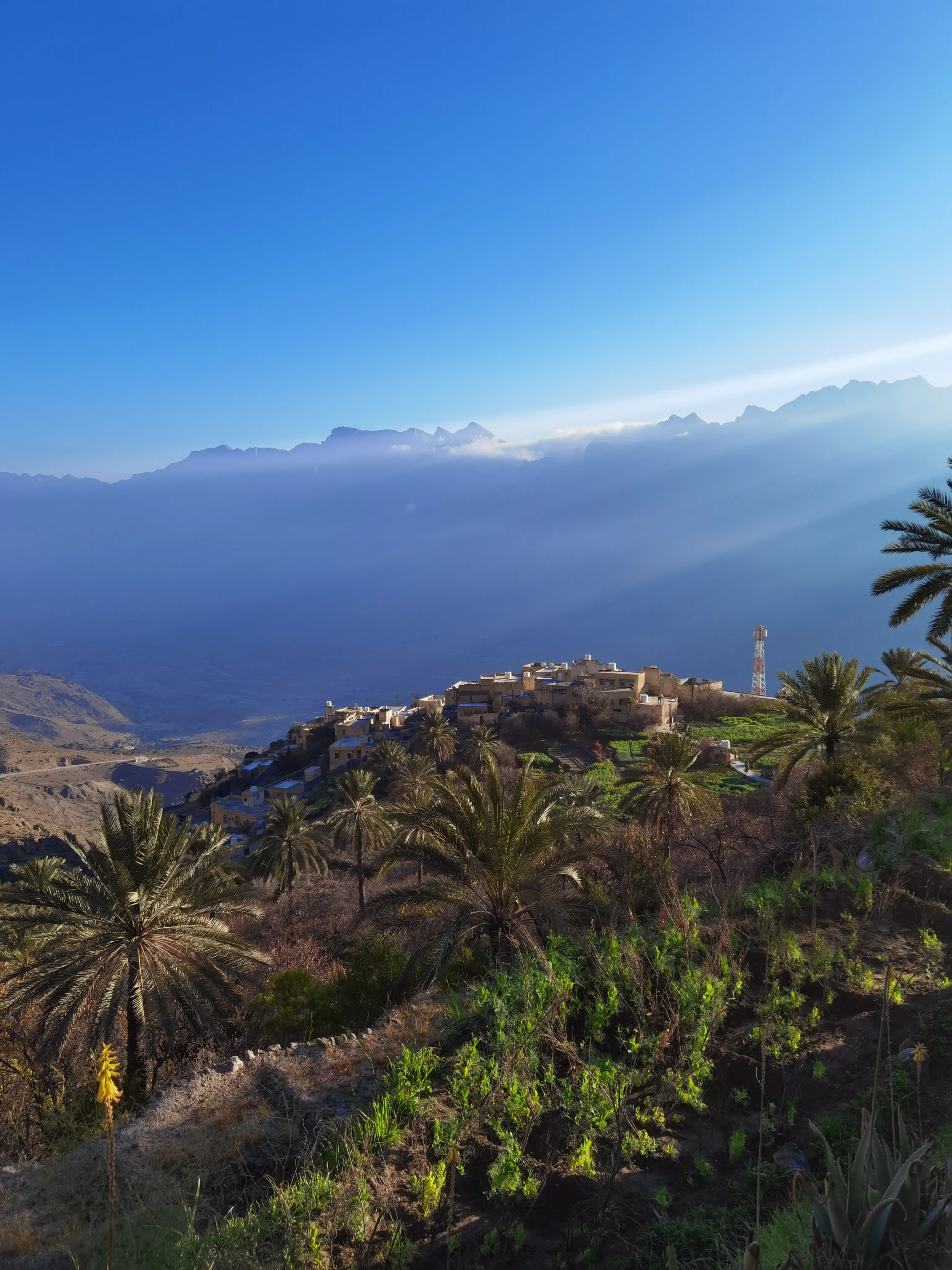 Жемчужина Аравии. Тур в Оман (6/51)