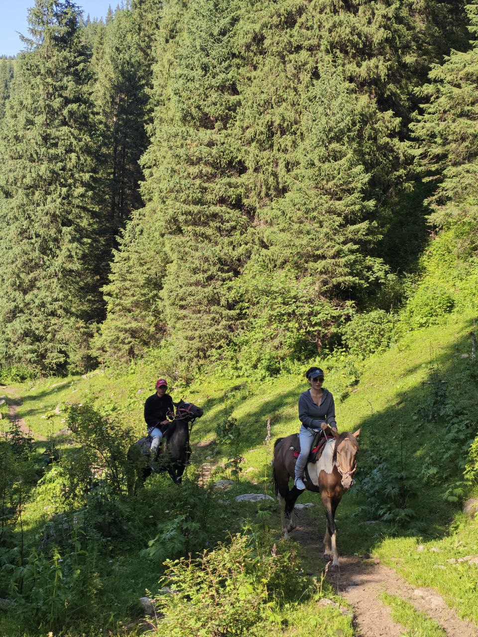 Конный тур по горным тропам Тянь-Шаня