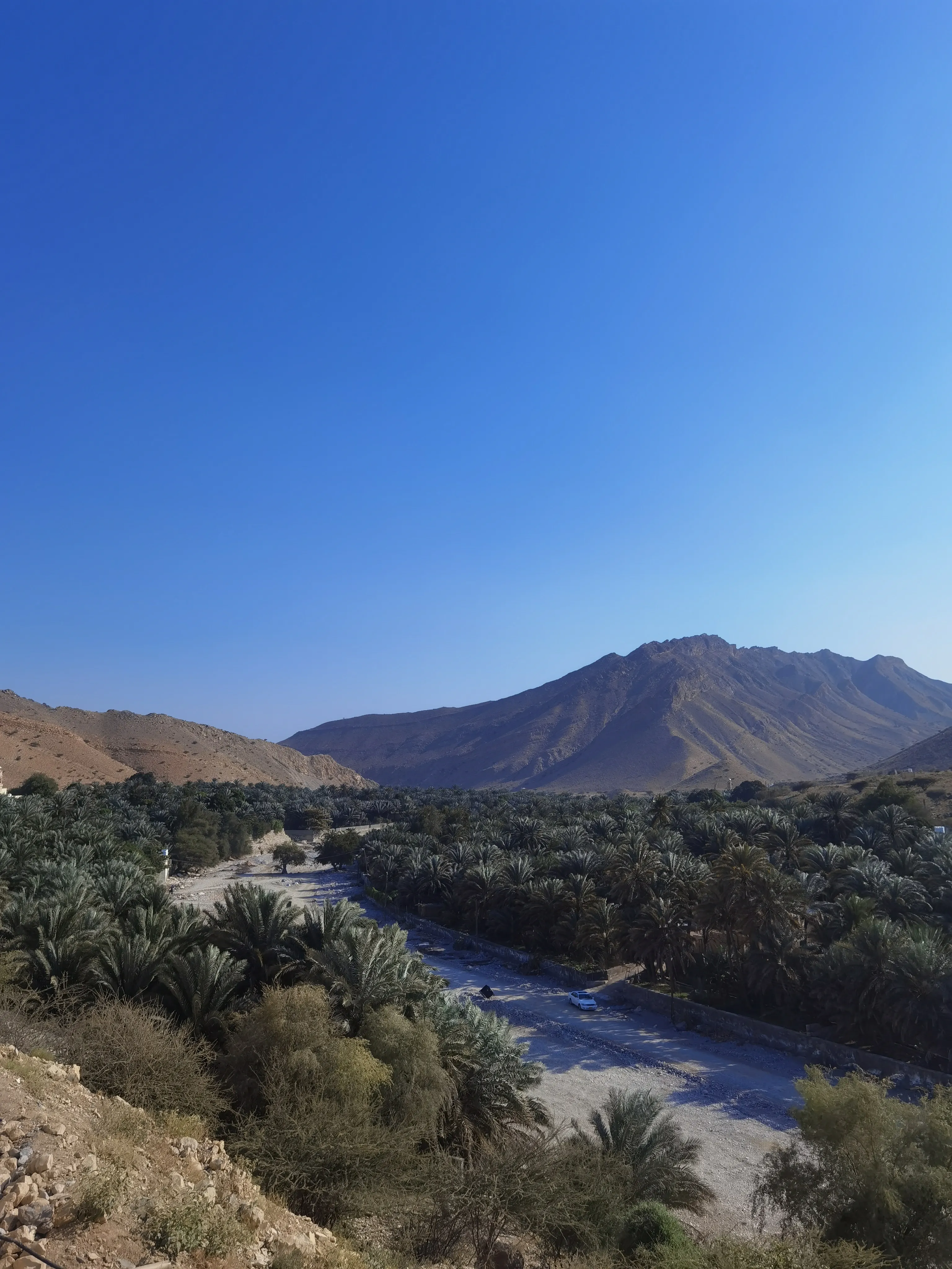 Жемчужина Аравии. Тур в Оман (20/51)