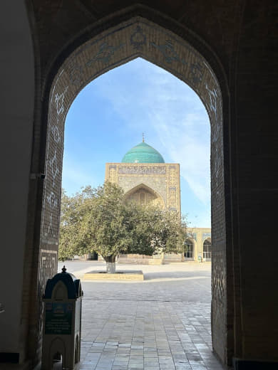 Узбекистан с душой: Ташкент,Самарканд и Бухара (19/41)