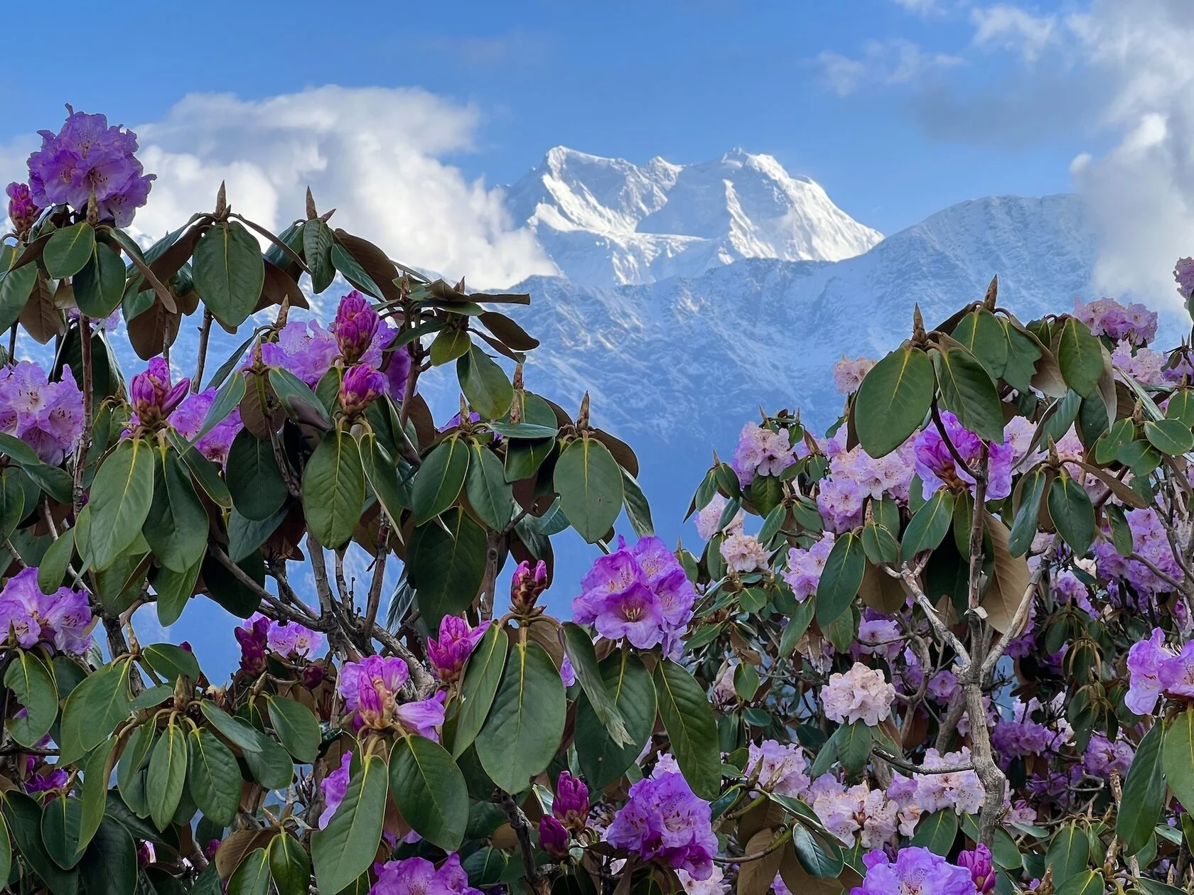Путешествие в обитель Шивы Кедарнатх (8/38)