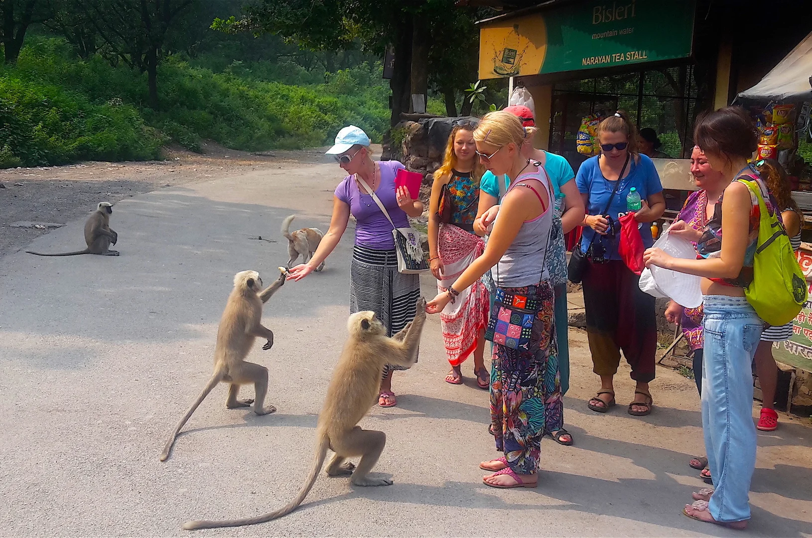 Путешествие в обитель Шивы Кедарнатх (3/38)