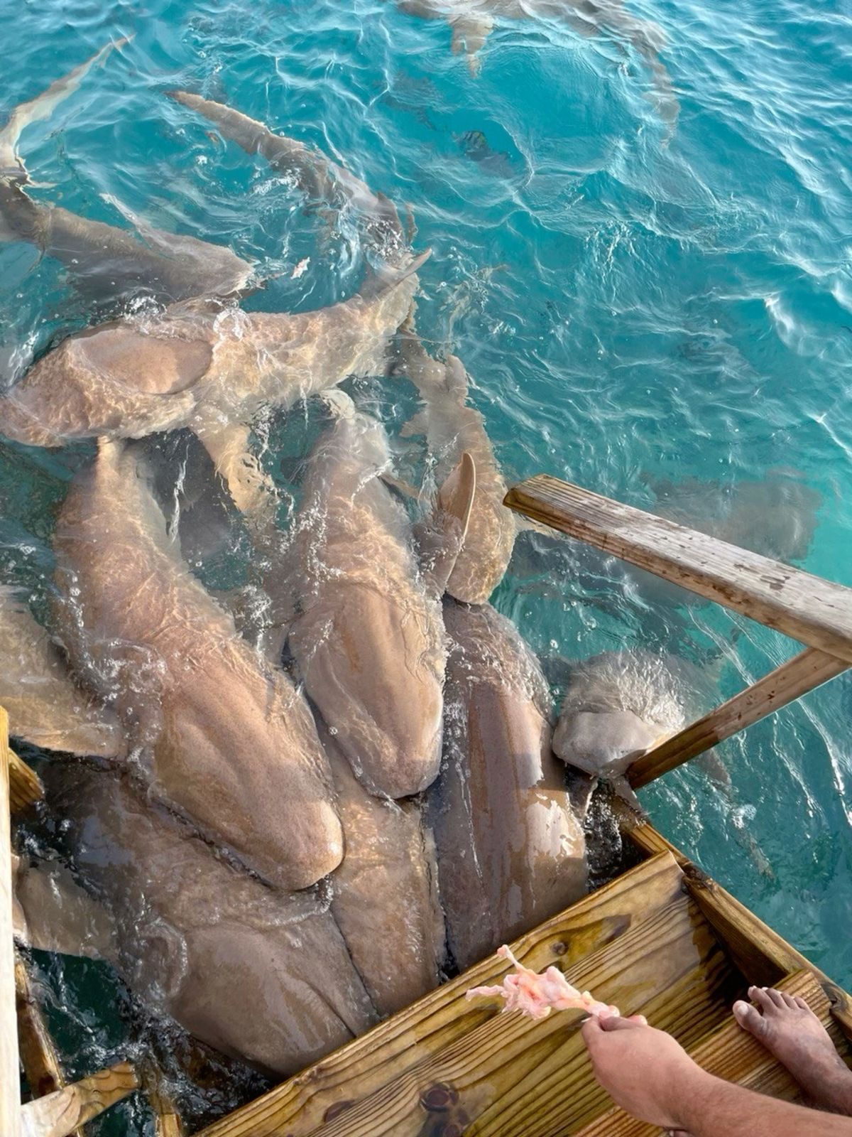 Райское наслаждение. Мальдивы (14/38)