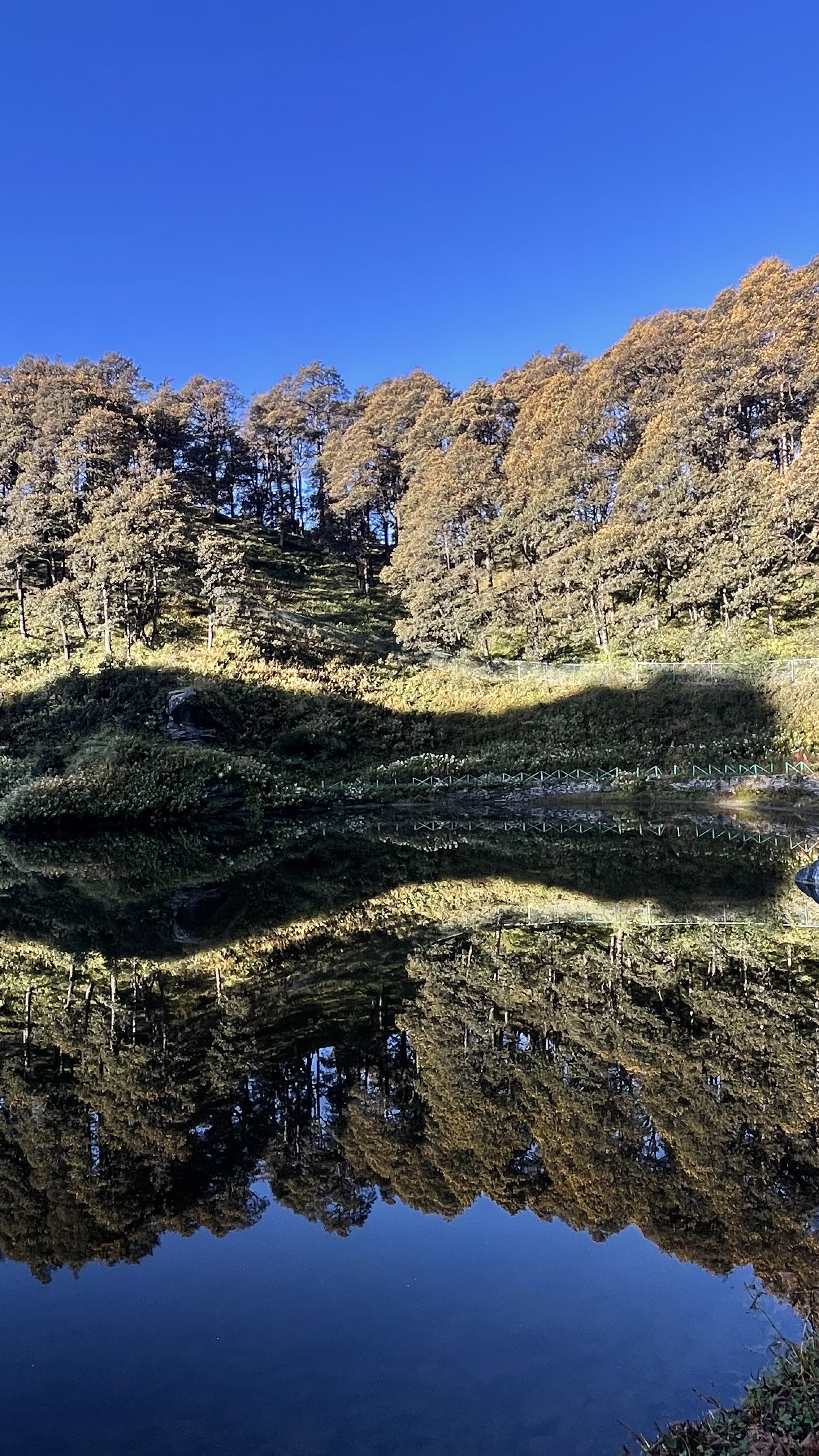Ретрит Гималаи в движении: 7 долин, 20 храмов, подъем на 5600 м ( не пешком;) (26/68)
