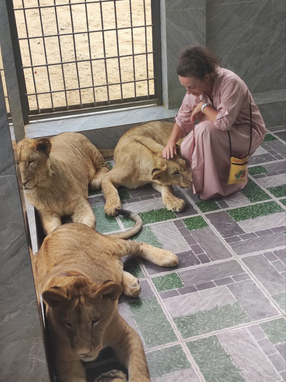 Весь Вьетнам за 15 дней! Внутренние перелеты включены, отели 4-5 (45/66)