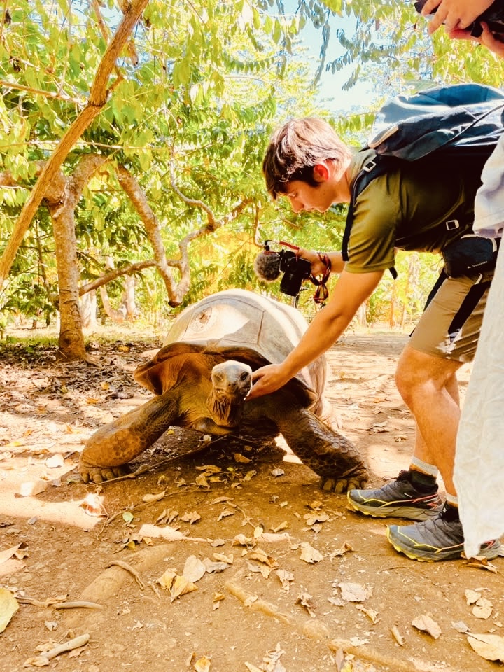 Баобаб - Цинги - Киты на Сент Марии (5/53)
