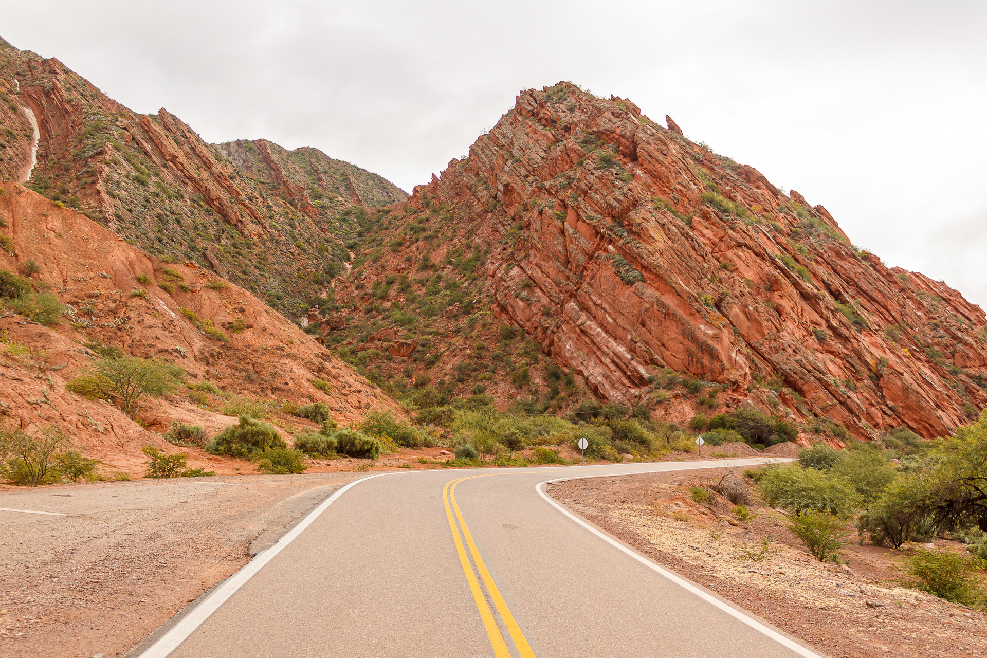 12 дней Северной Аргентины: кактусы, солончаки, радужные горы (11/47)