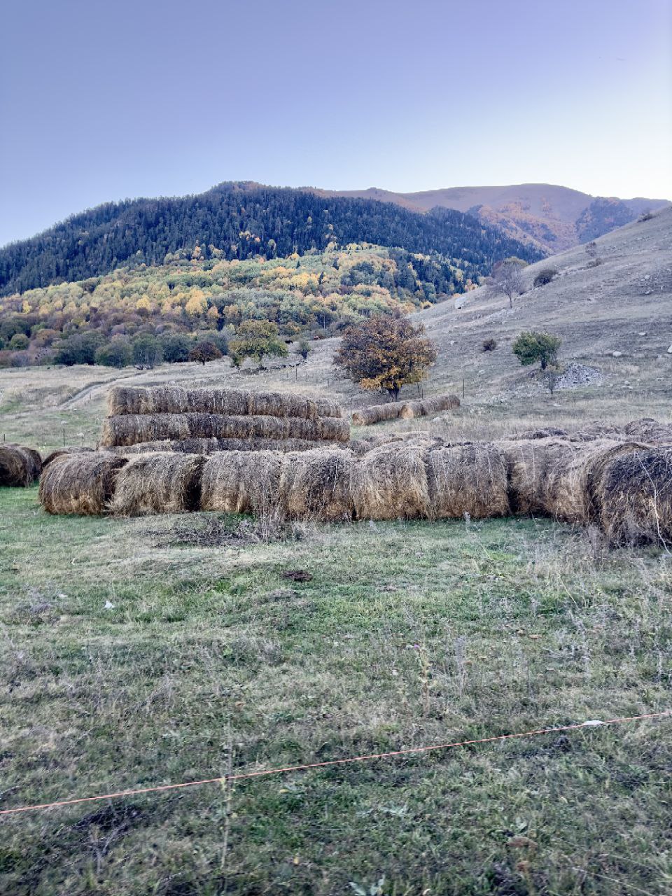 Красивый Домбай для влюбленных в горы! (29/62)