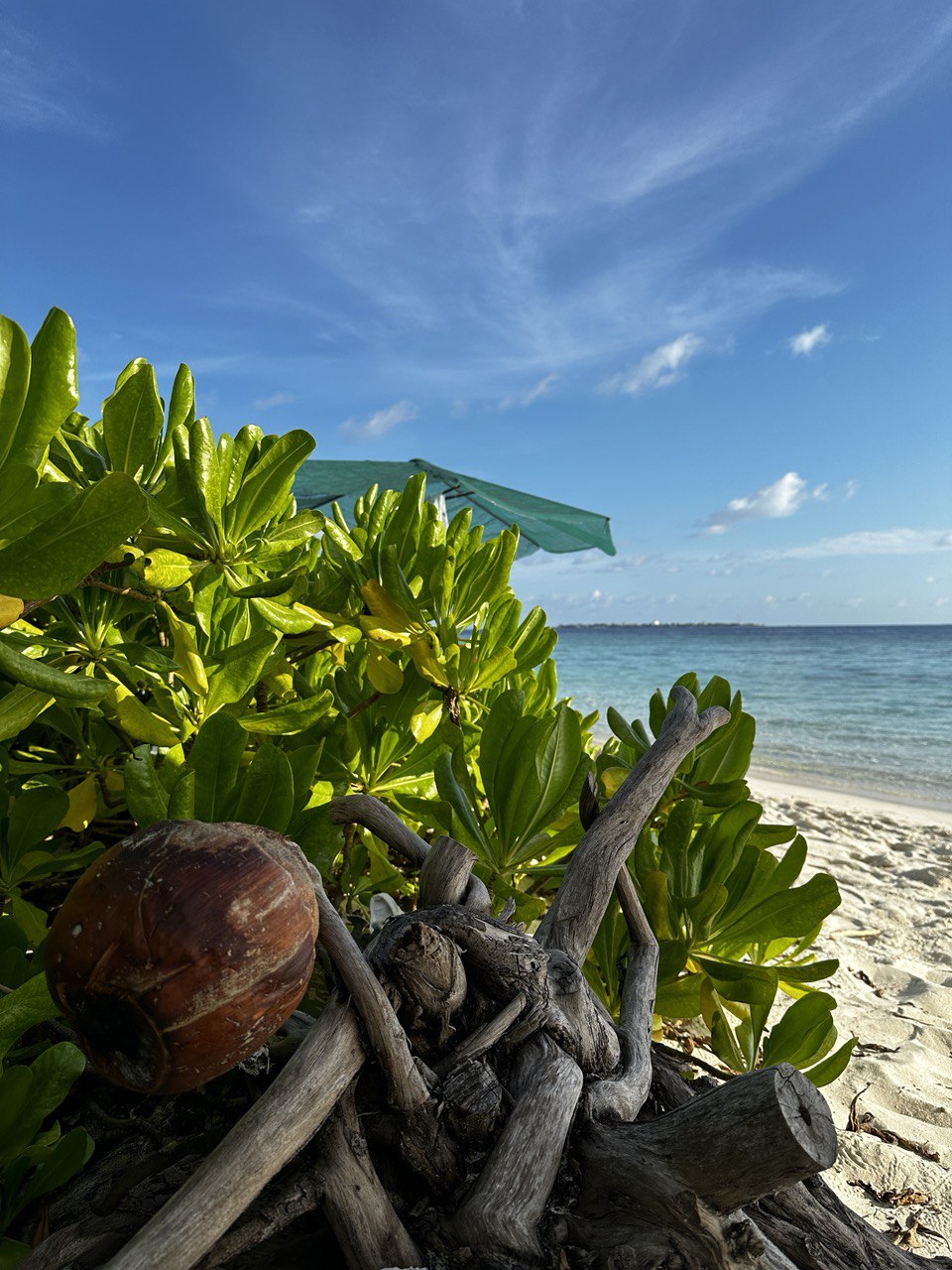 Активная Шри-Ланка и релакс на Мальдивах (28/57)