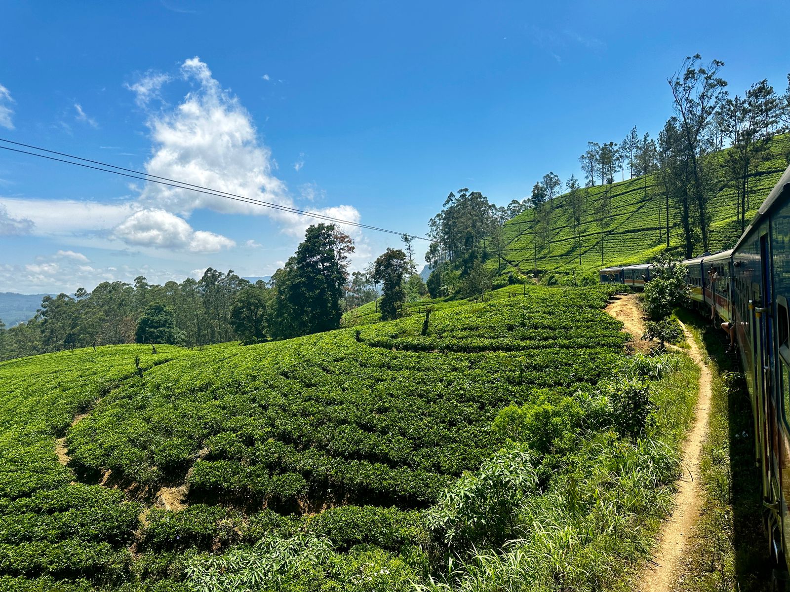 Активная Шри-Ланка и релакс на Мальдивах (29/57)