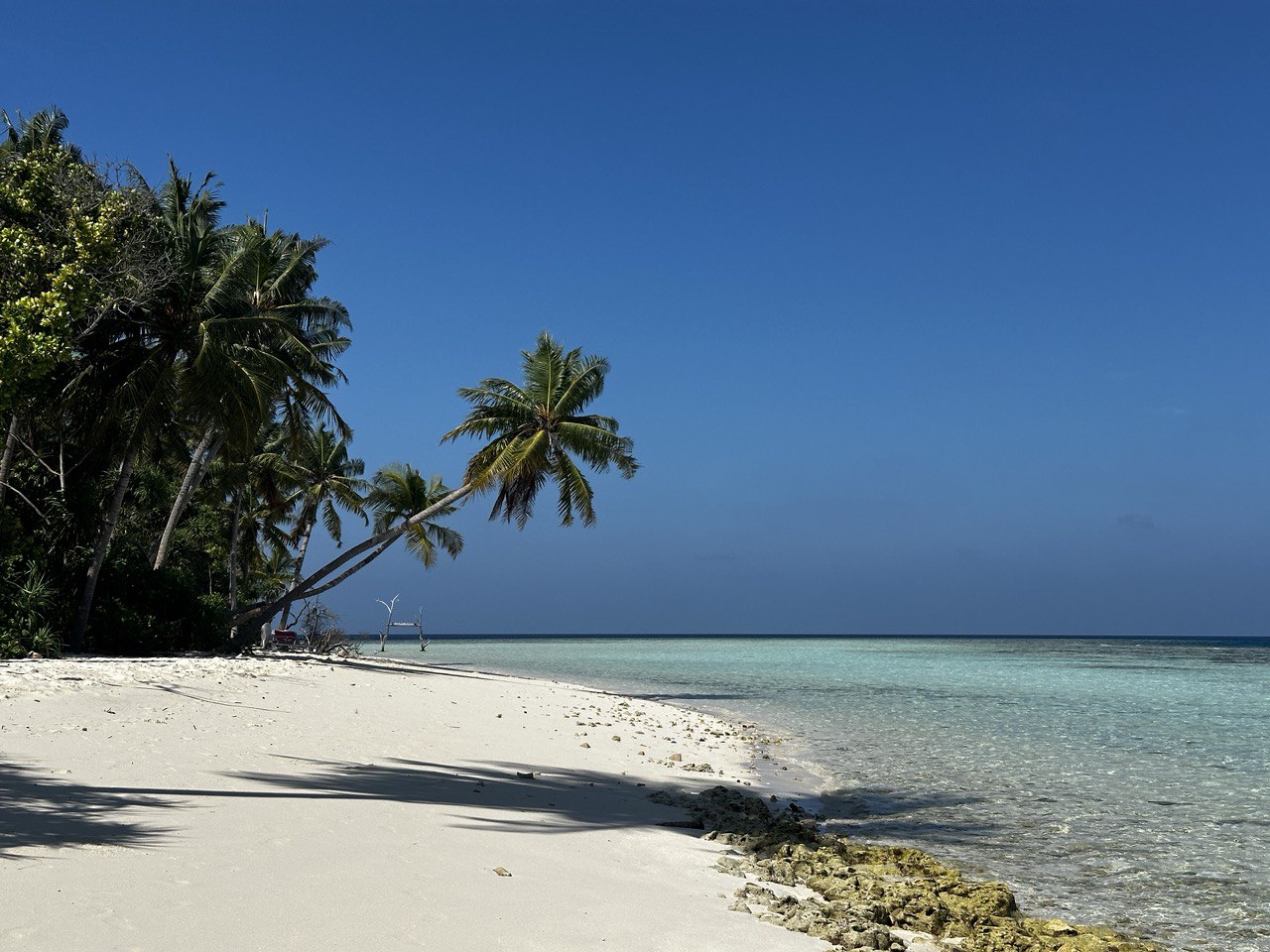 Активная Шри-Ланка и релакс на Мальдивах (30/57)