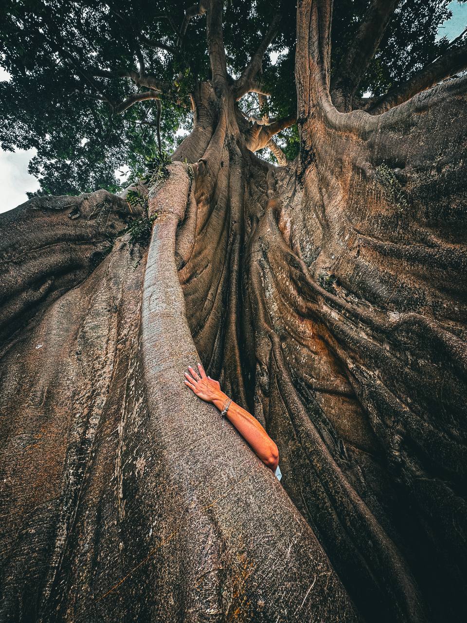 Бали вне времени. Мистическое путешествие силы (13/17)