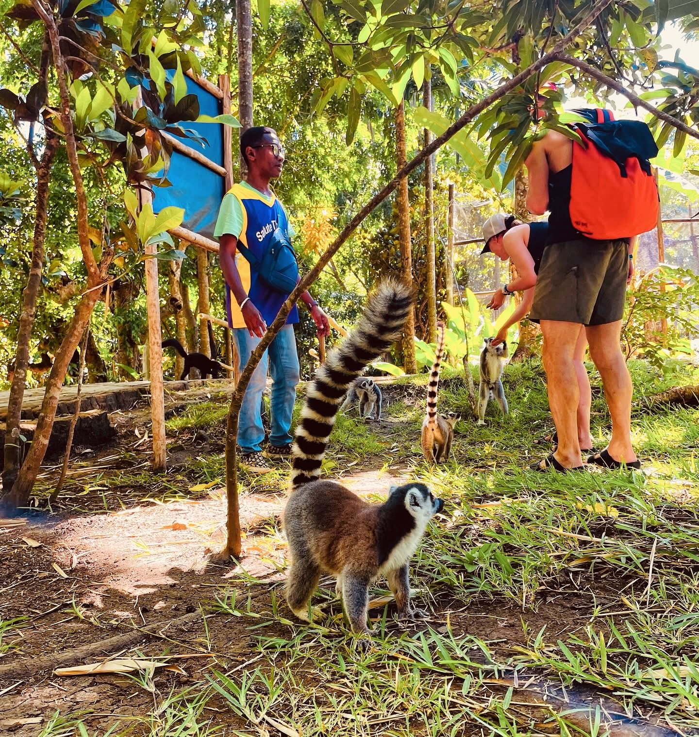 Баобаб - Цинги - Киты на Сент Марии (6/53)