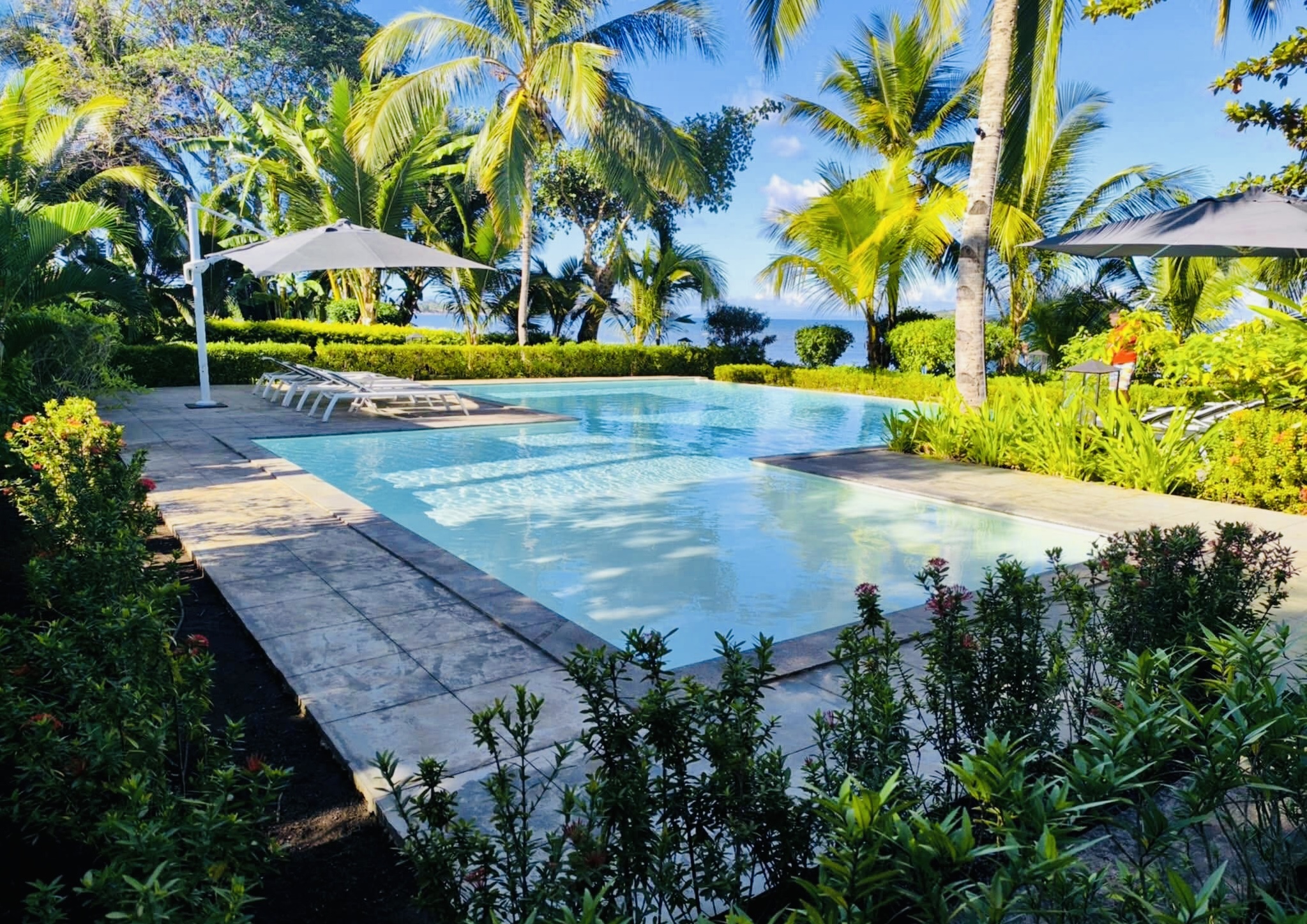 Баобаб - Цинги - Киты на Сент Марии (11/53)