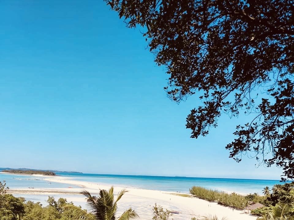 Баобаб - Цинги - Киты на Сент Марии (8/53)