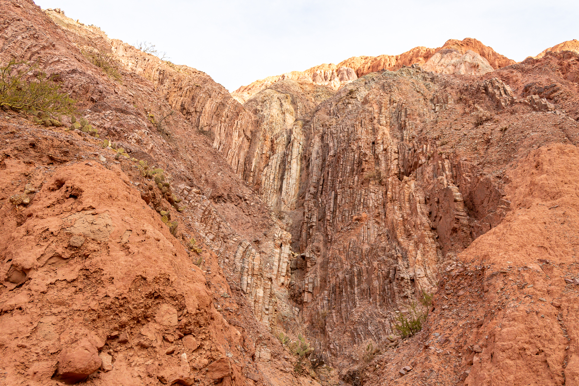 12 дней Северной Аргентины: кактусы, солончаки, радужные горы (13/47)
