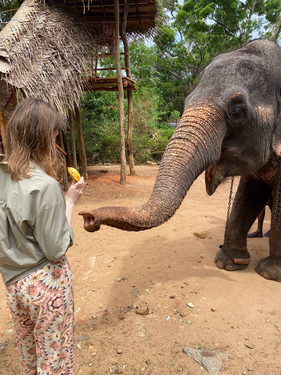 Активная Шри-Ланка и релакс на Мальдивах (17/57)