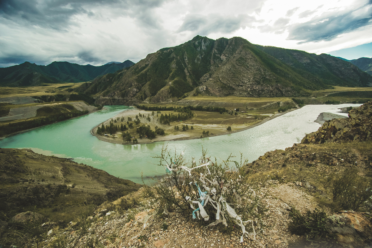 Сафари Тур по Алтаю (5/15)