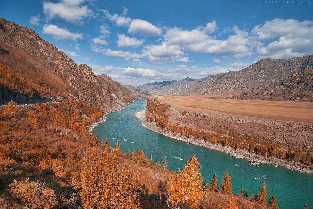 Сафари Тур по Алтаю (6/15)