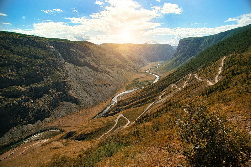 Сафари Тур по Алтаю (11/15)