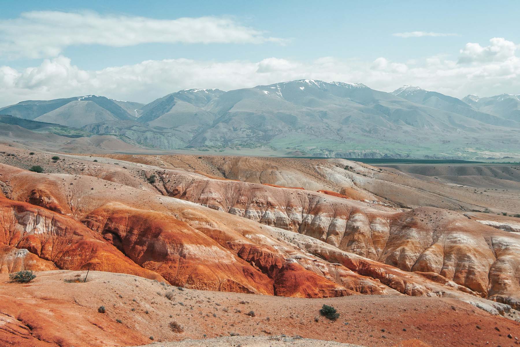 Сафари Тур по Алтаю (8/15)