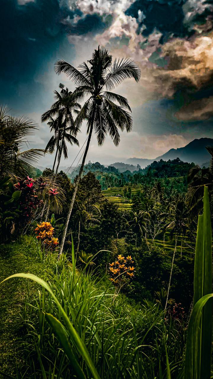 Магия Батукару: Треккинг, Храм и Горячие Источники (10/12)