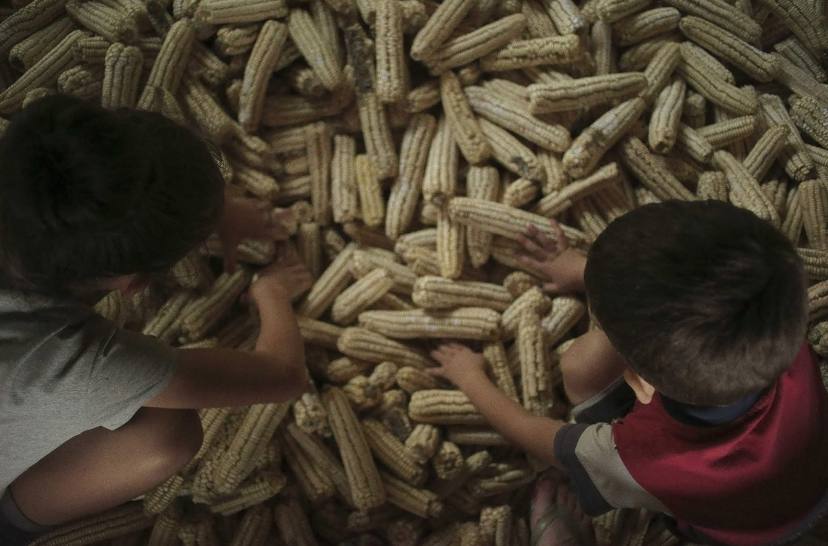 Кинотерапия и телесные практики в Грузии (7/20)