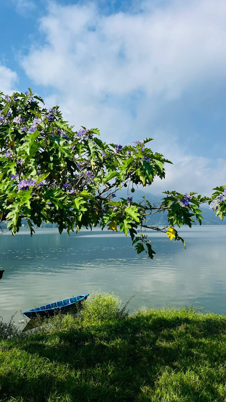 Магический Непал, 8 дней (10/15)