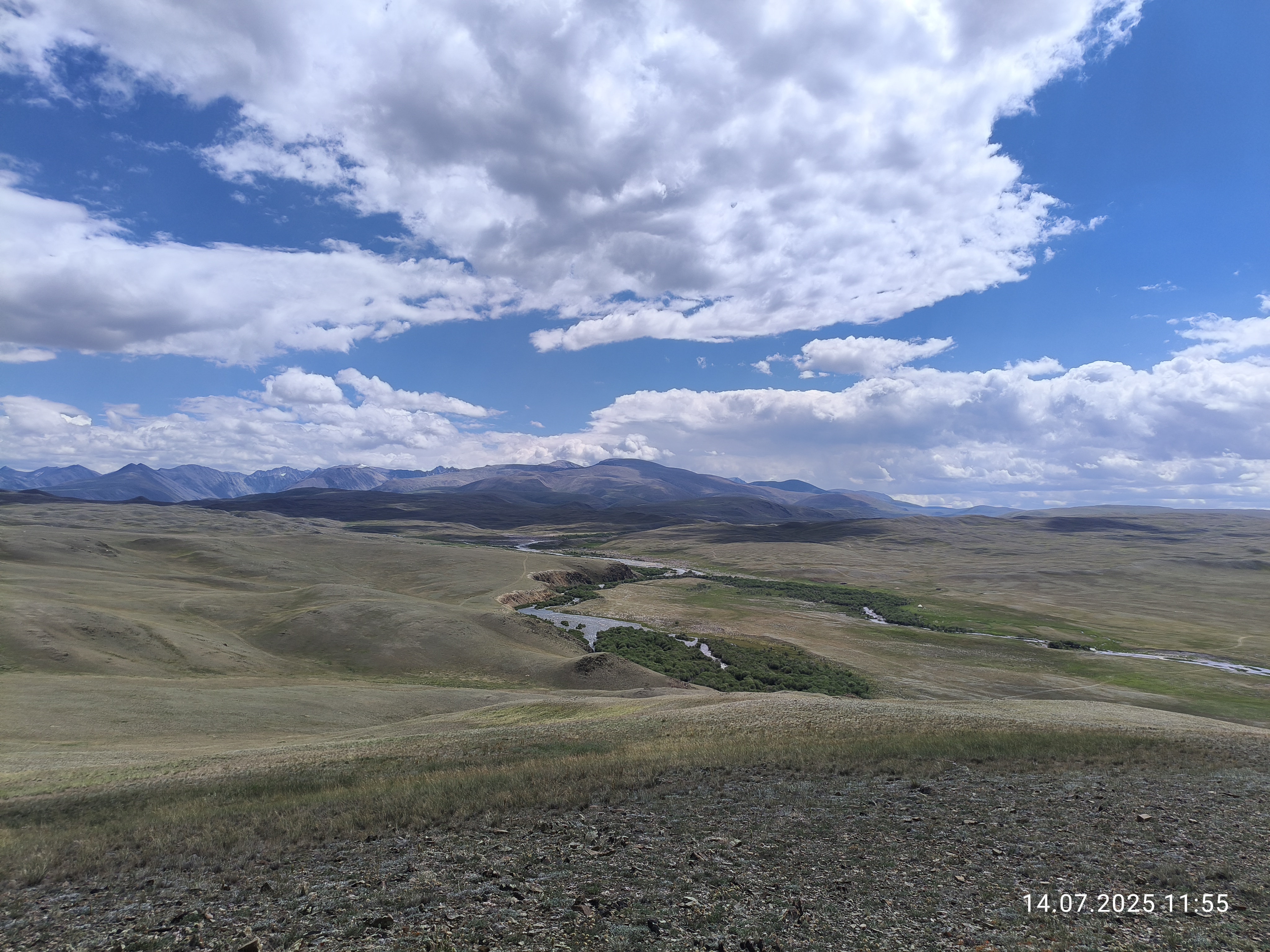 Алтайская Высотка Авто тур (17/46)