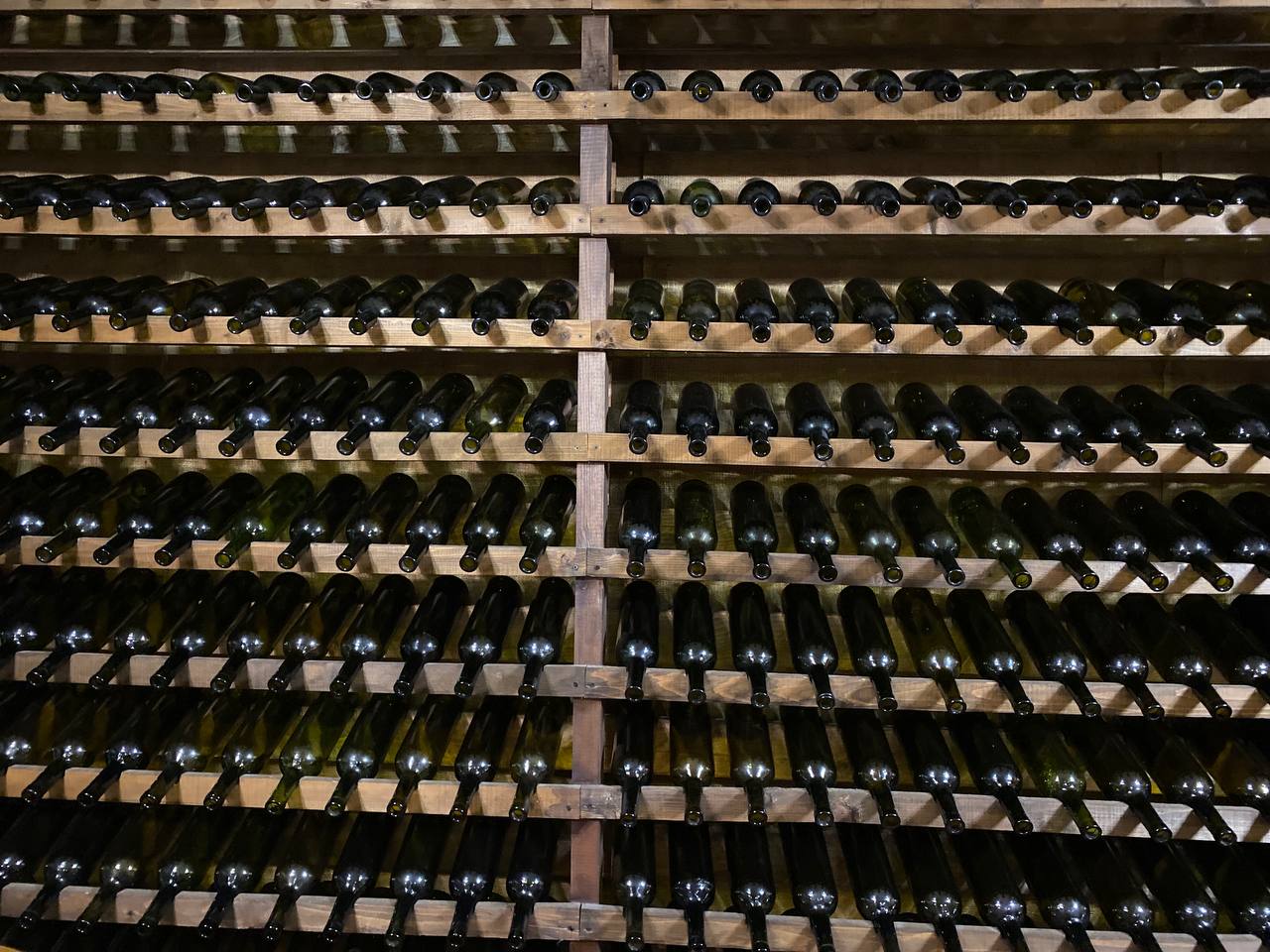 Кинотерапия и телесные практики в Грузии (13/20)