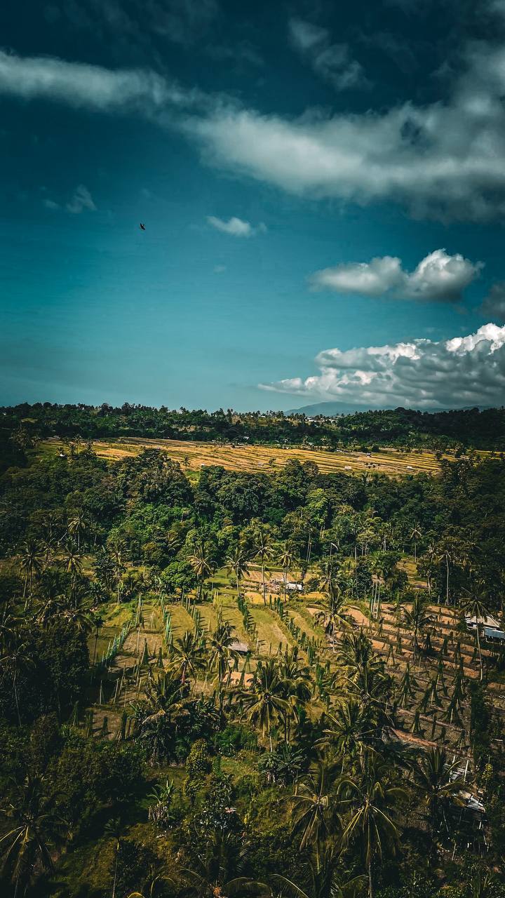 Магия Батукару: Треккинг, Храм и Горячие Источники (6/12)