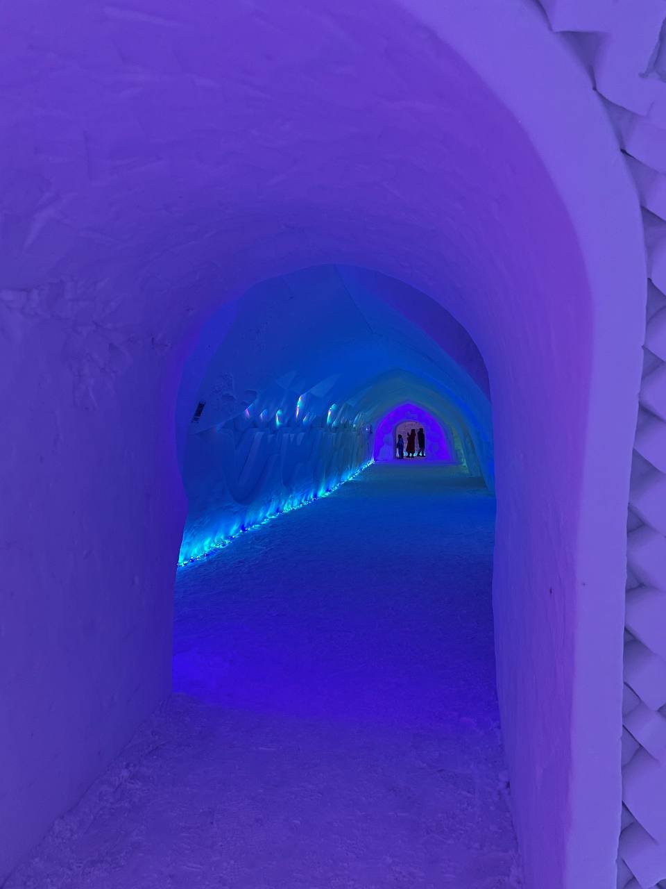 В Поисках Сияния: Мурманск - Кировск  - Териберка -  Саамы (35/38)