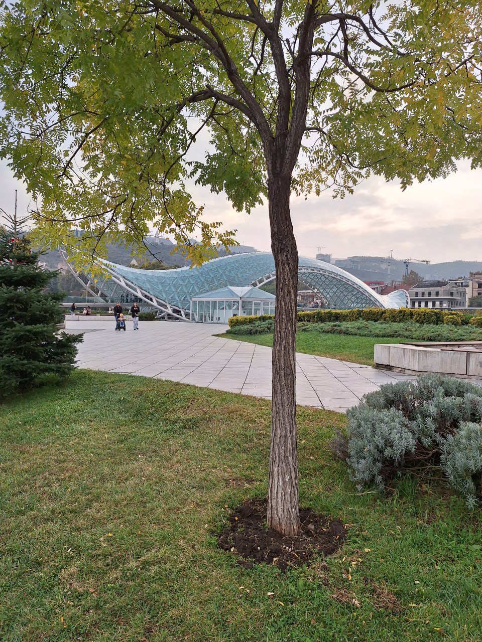 1001+1 восторг от красот чарующей Грузии. Тур через всю Грузию (16/39)