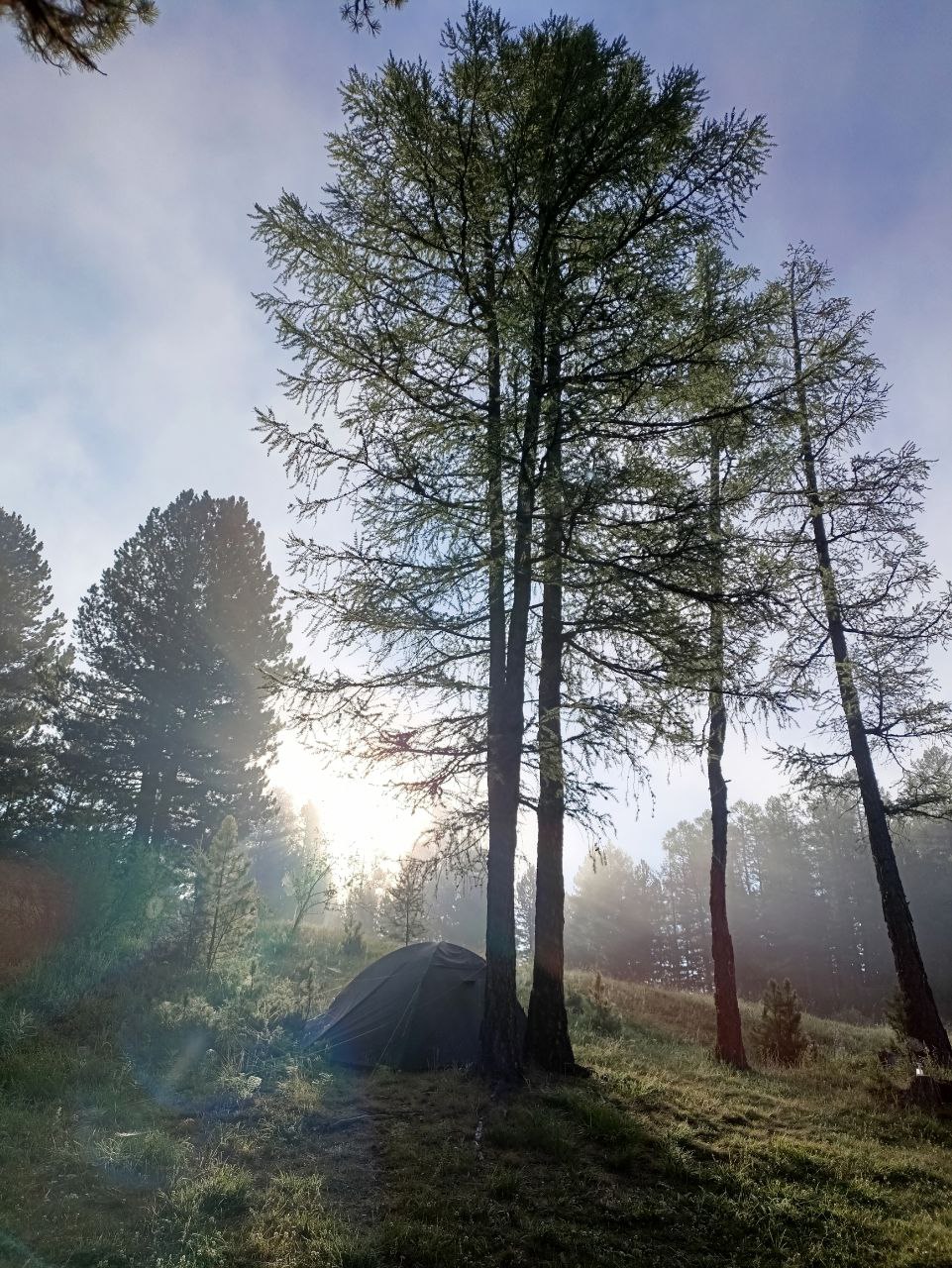 Алтайская Высотка Авто тур (23/46)