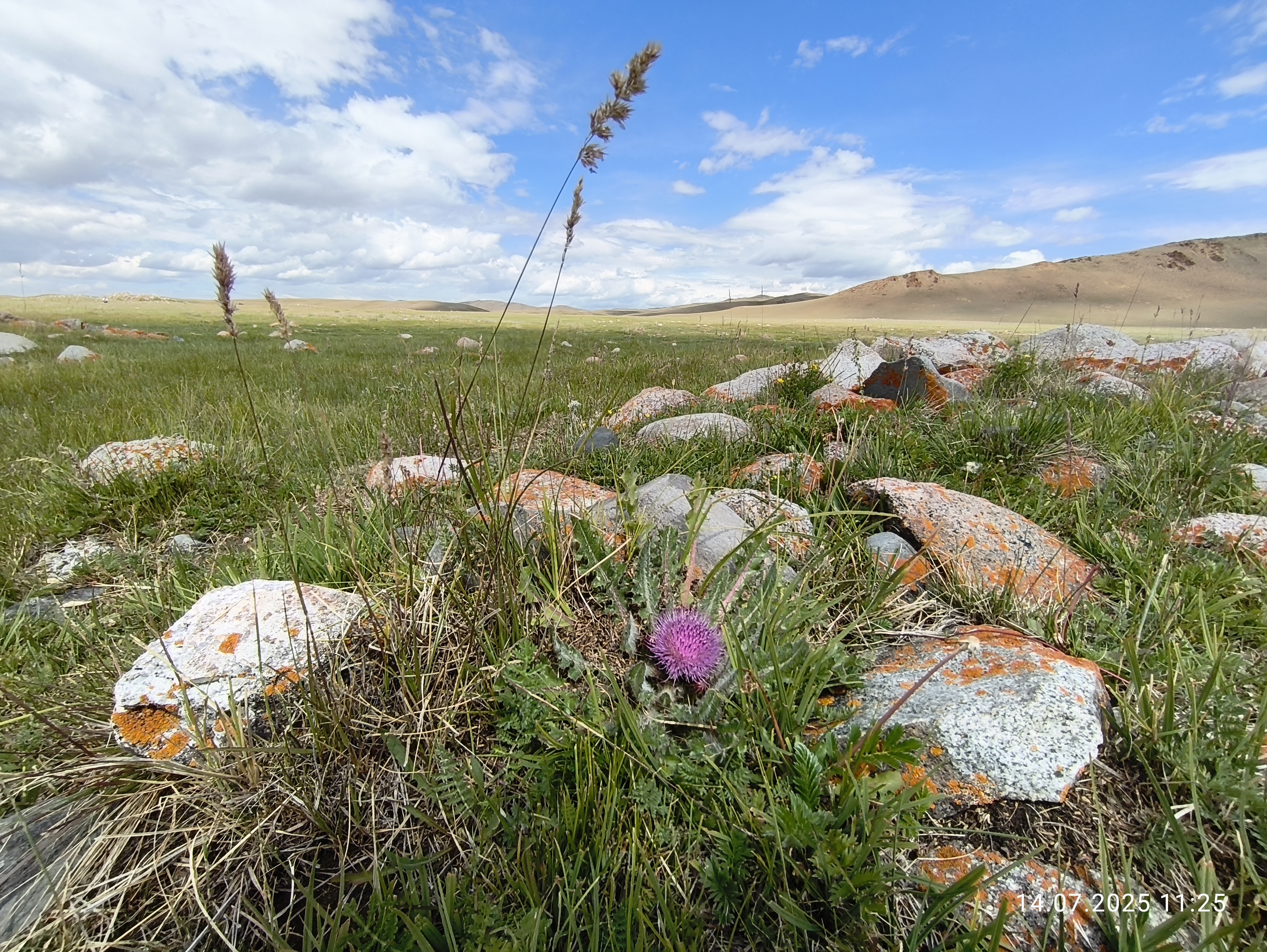 Алтайская Высотка Авто тур (16/46)