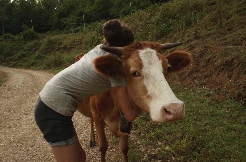 Кинотерапия и телесные практики в Грузии (6/20)