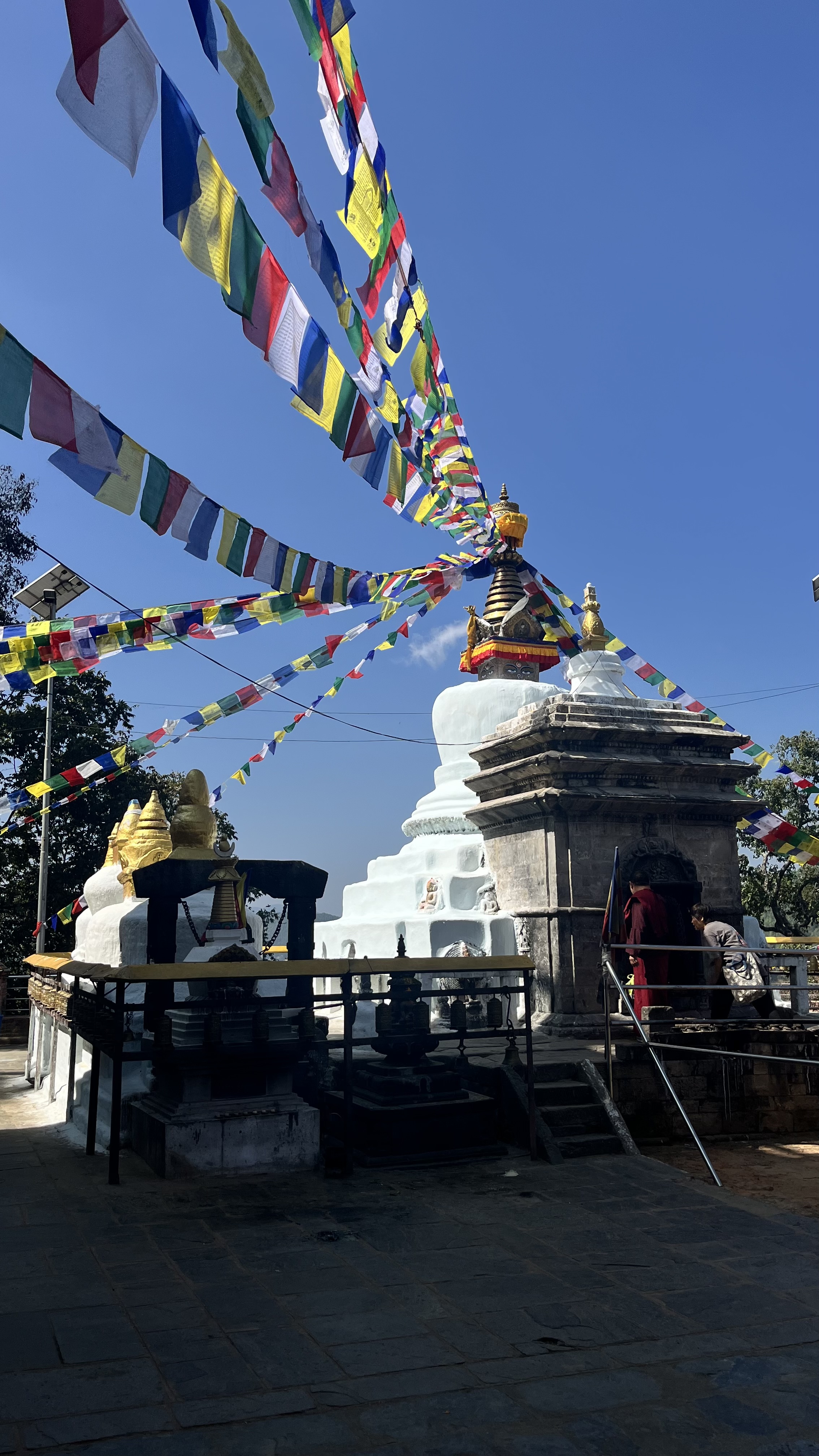 Магический Непал, 8 дней (13/15)