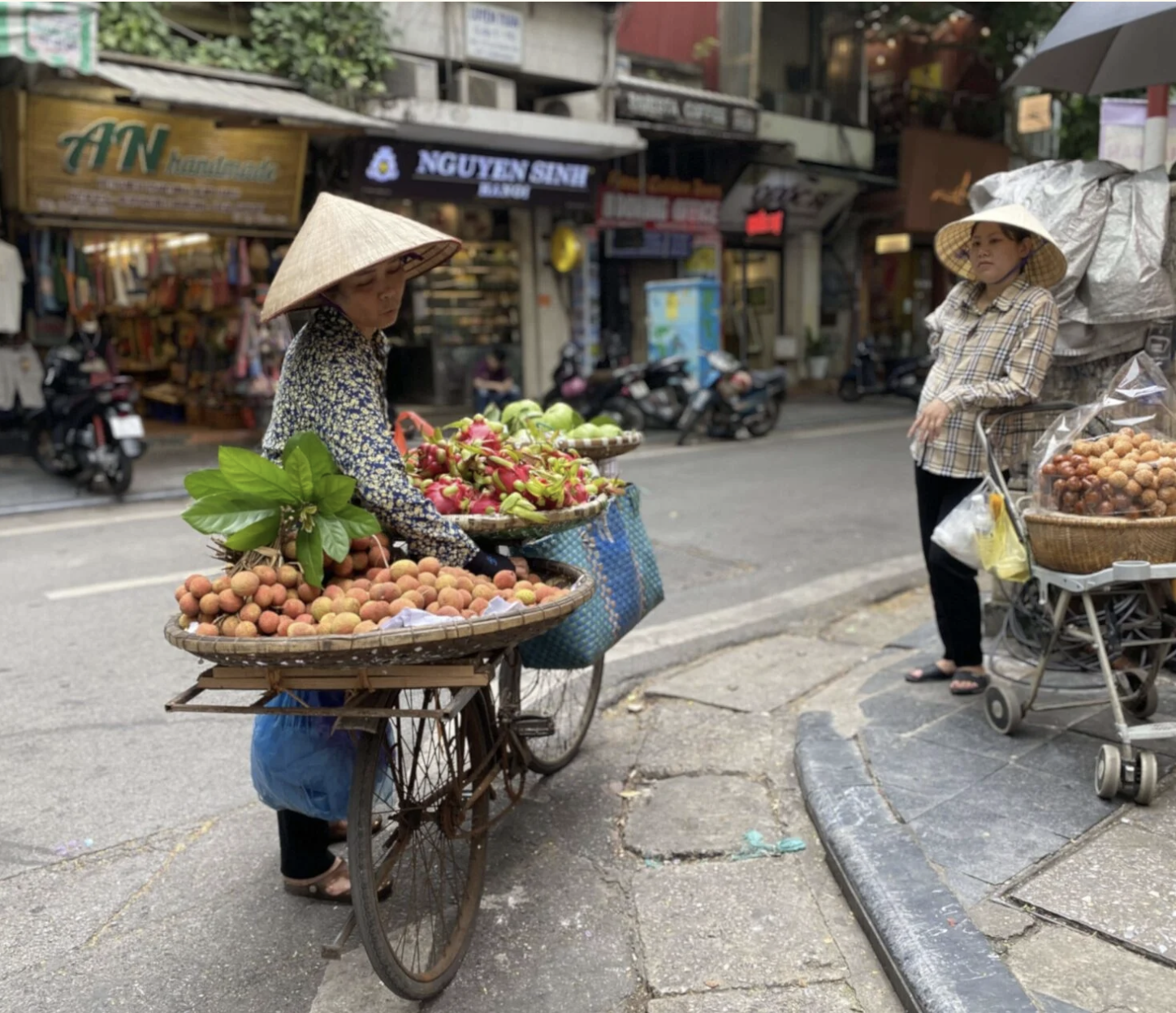 12 дней настоящего Вьетнама (север и центр) (5/43)