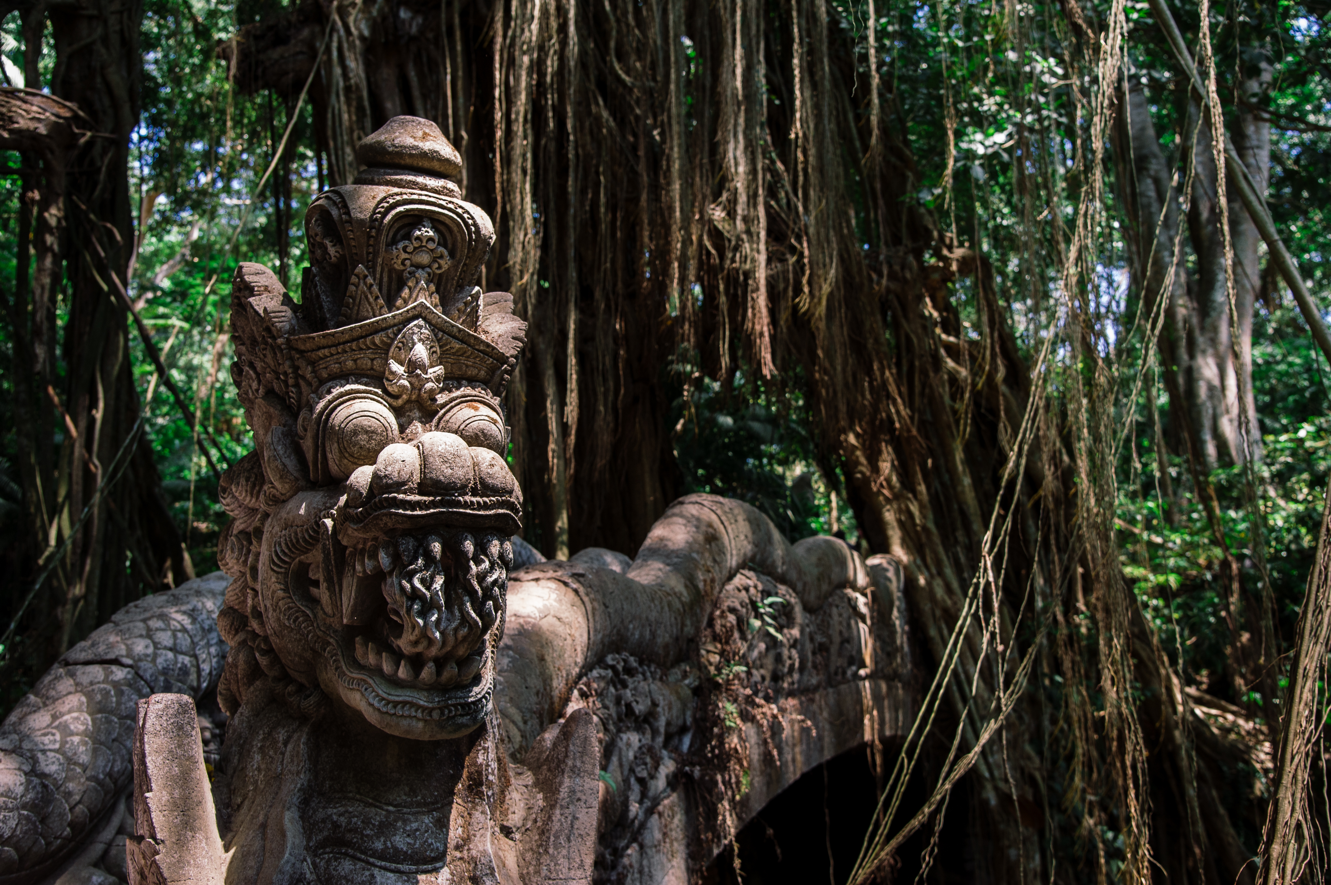 Остров мечты за 12 дней . (42/61)