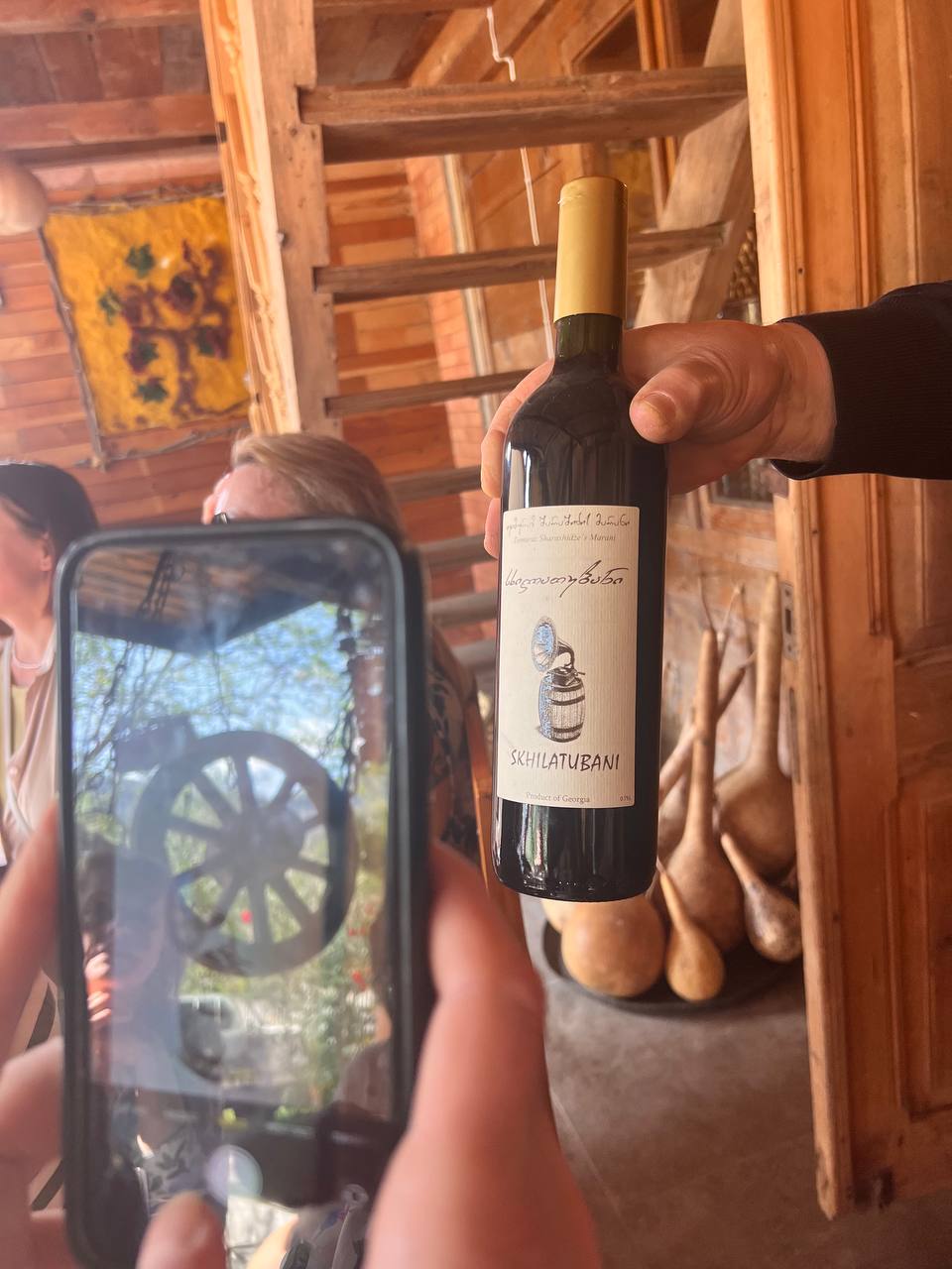Грузия В гости к виноделам (10/17)