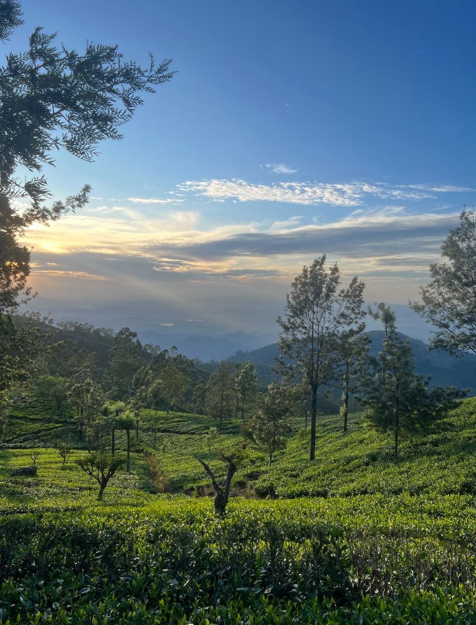 Насыщенная Кругосветка по Шри-Ланке за 8 дней (19/37)