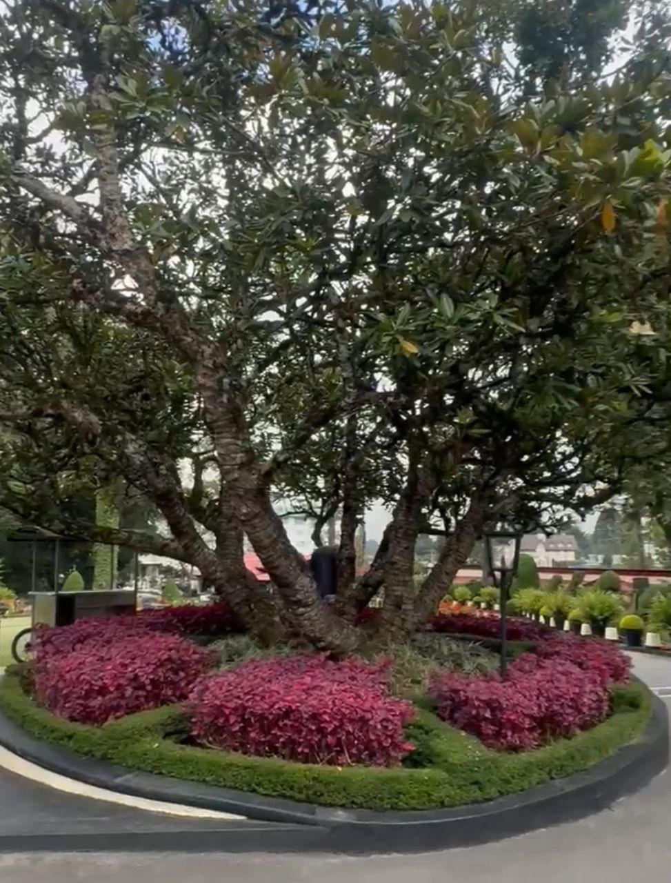 Насыщенная Кругосветка по Шри-Ланке за 8 дней (14/37)